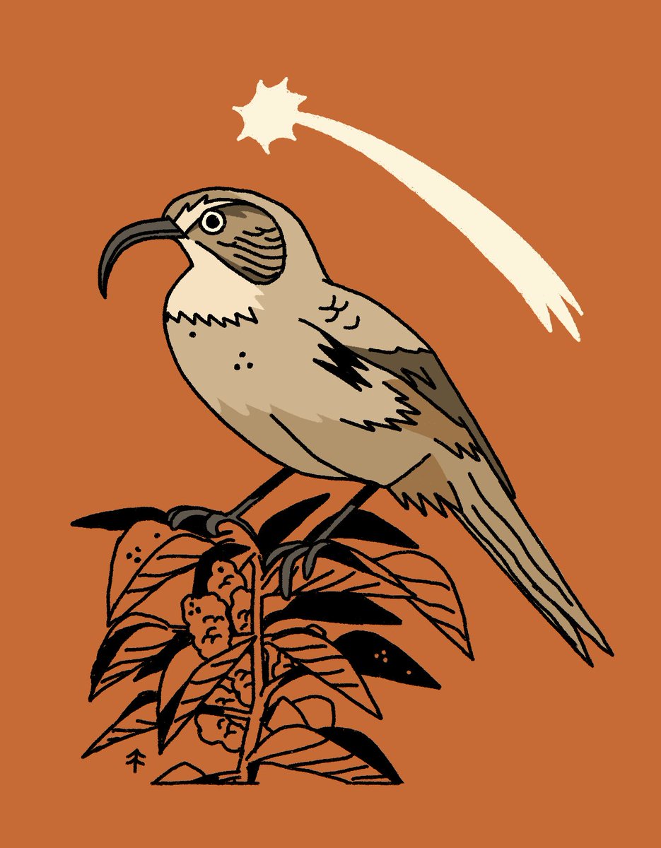 birdwarde's tweet photo. QRT with brown/warm/orange toned art! 🧡🍊🍁🍂 https://t.co/41ukk4YzaD