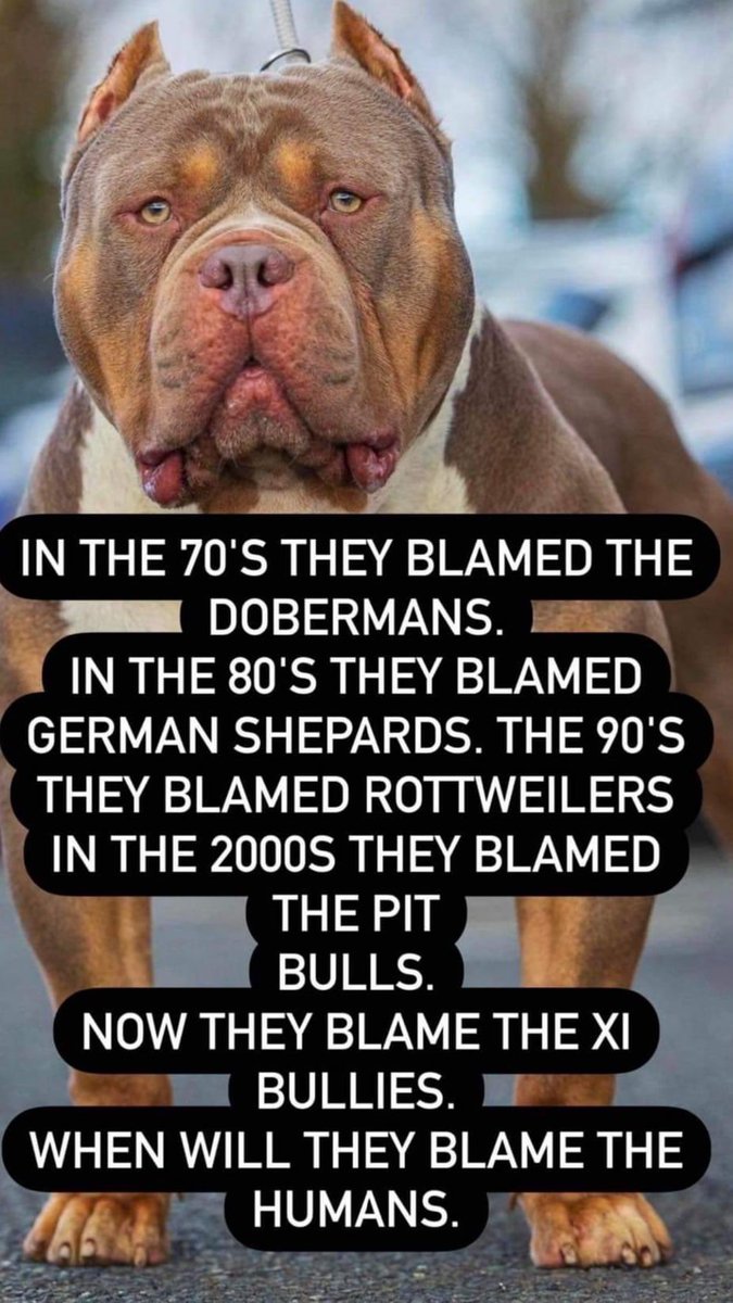 Sarah Spain (@sarahspain) on Twitter photo 