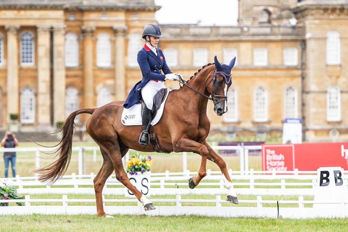 HorseNetwrk's tweet photo. New personal best score. Same 2021 winners. #BPIHT23
Yasmin Ingham Poised for Blenheim Repeat
https://t.co/xRR7WgNvuR https://t.co/5XKu42kWgk