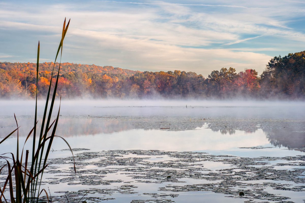 Kolasinski50080's tweet photo. Early morning fog on the water.
#autumn #fall #fallmorning #mist #fallcolors #autumncolors #coolmornings #landscape #landscapephotography #photography #reflection #Autumnvibes #fallvibes #NewEngland #Connecticut #FallInNewEngland #AutumnInNewEngland https://t.co/w0PT0jFiAc