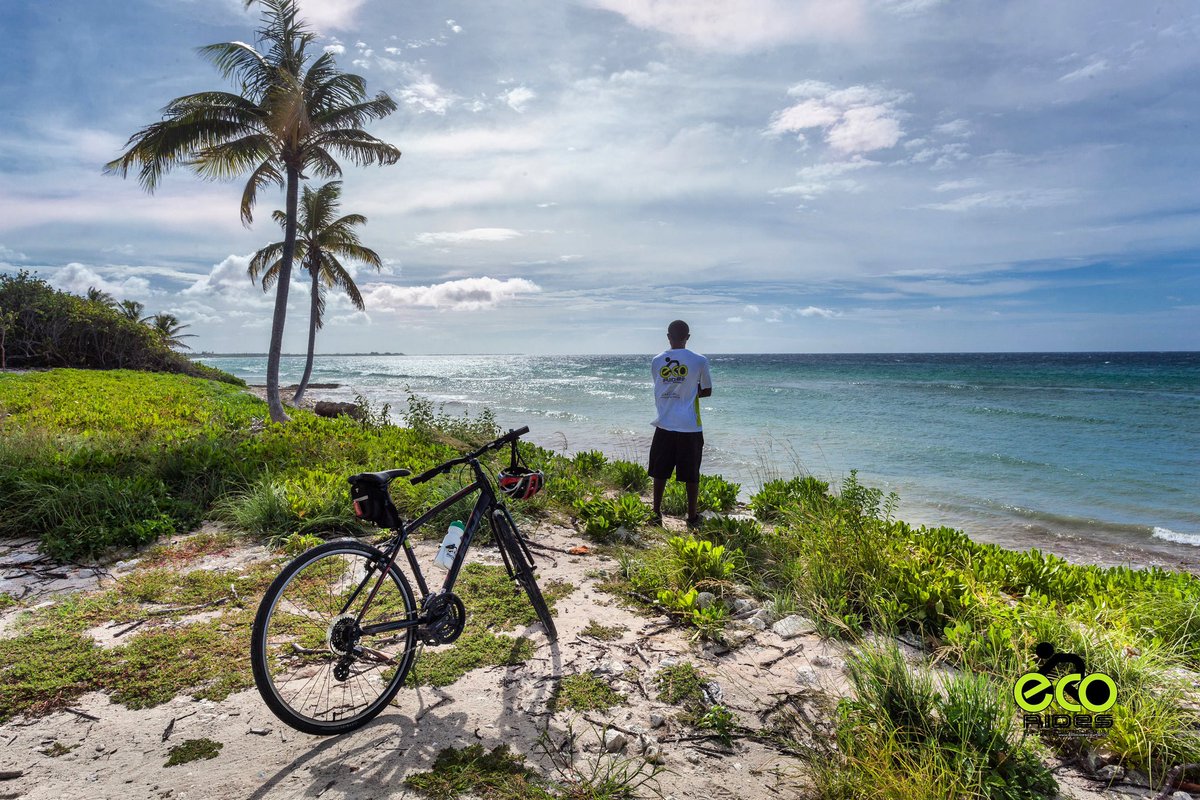 The best way to explore Cayman is on a bike with ECO Rides Cayman. Book Now ecoridescayman.ky #ecoridescayman #letsride #grandcayman #caymanislands
#biketoursincaymanislands #thingstodocaymanislands #caymankind #ecotours #bicycletours #cyclingincaymanislands #nature