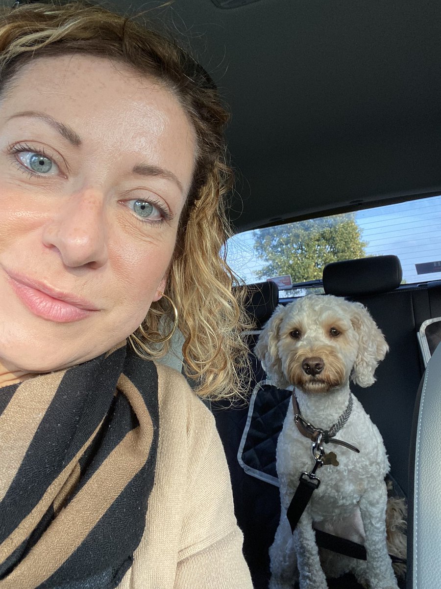 Jo_murray_'s tweet photo. Alfie 🐶 ❤️ https://t.co/lrr4nA4mw6