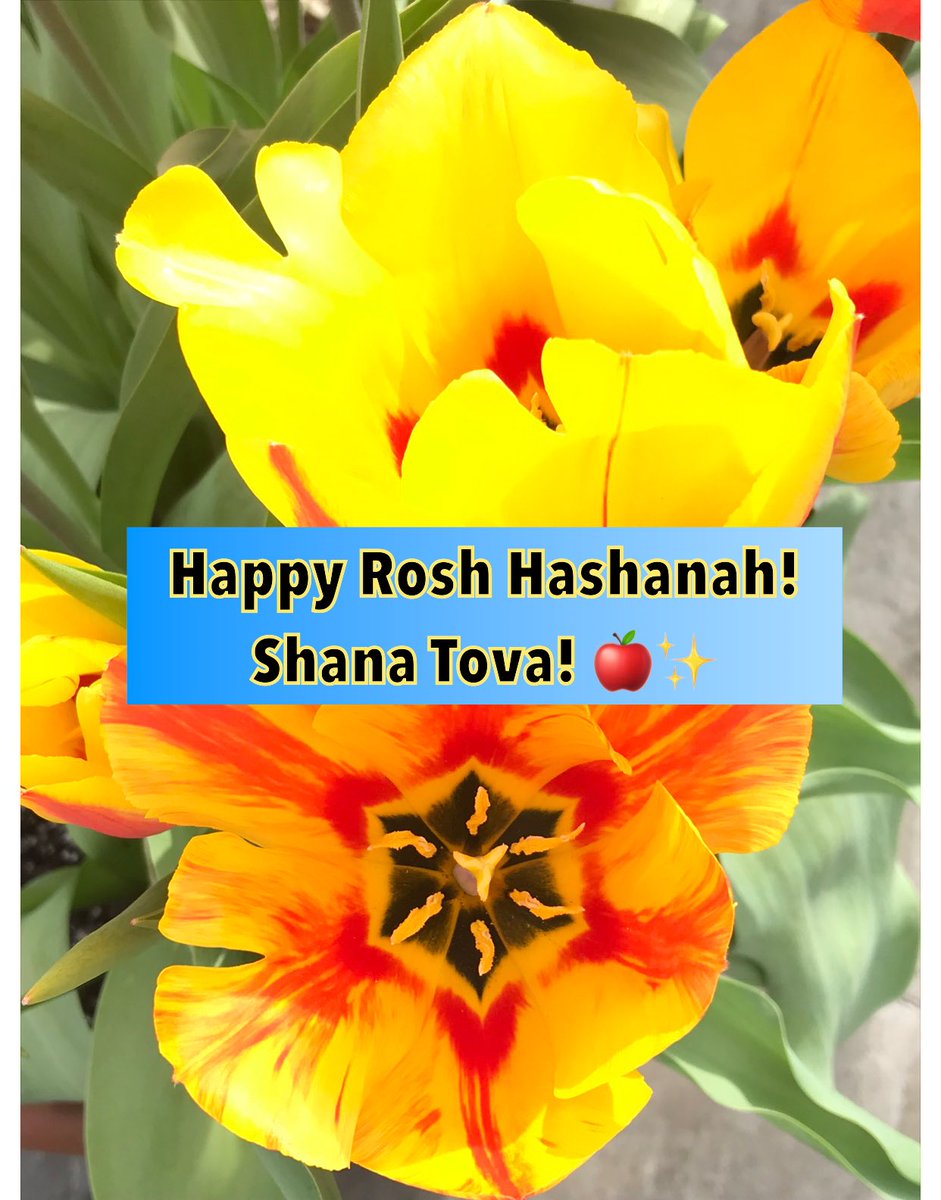 Happy #RoshHashana! #shanatova  #roshhashana2023 🍎✨