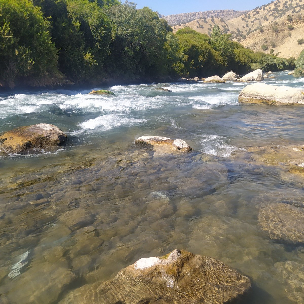 AliRezaEs1365's tweet photo. Week 2 of our #KarunRiver basin campaign in Iran: 20 sites sampled successfully! 🌊🐟🦗 We're uncovering biodiversity patterns of fish, macroinvertebrates, and periphyton in this 66,000 km² catchment area. Big thanks to ZHAW, SUPSI, and IUT for their support! 🇨🇭🇮🇷 https://t.co/9iQYw10J0H