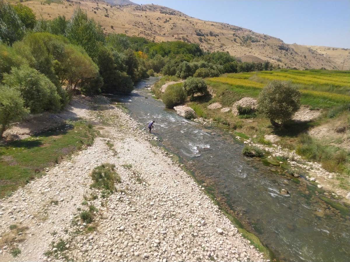 AliRezaEs1365's tweet photo. Week 2 of our #KarunRiver basin campaign in Iran: 20 sites sampled successfully! 🌊🐟🦗 We're uncovering biodiversity patterns of fish, macroinvertebrates, and periphyton in this 66,000 km² catchment area. Big thanks to ZHAW, SUPSI, and IUT for their support! 🇨🇭🇮🇷 https://t.co/9iQYw10J0H