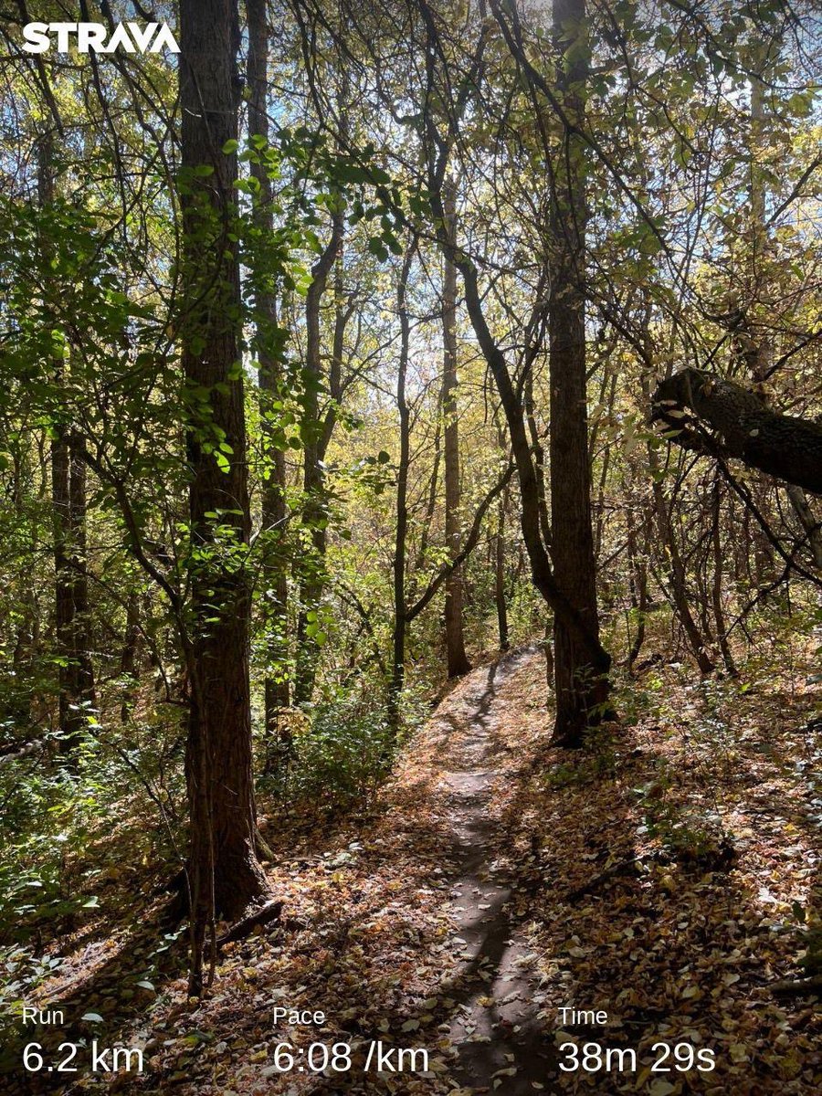 Caseychoma's tweet image. Snuck in the time for a little trail run,  can get enough of the 🍁's. Trying to get my fill before they all fall. #fallrunning #trailrunning #yegvirtualrunningclub #yegrv
