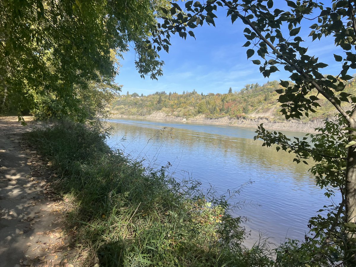 Caseychoma's tweet image. Snuck in the time for a little trail run,  can get enough of the 🍁's. Trying to get my fill before they all fall. #fallrunning #trailrunning #yegvirtualrunningclub #yegrv