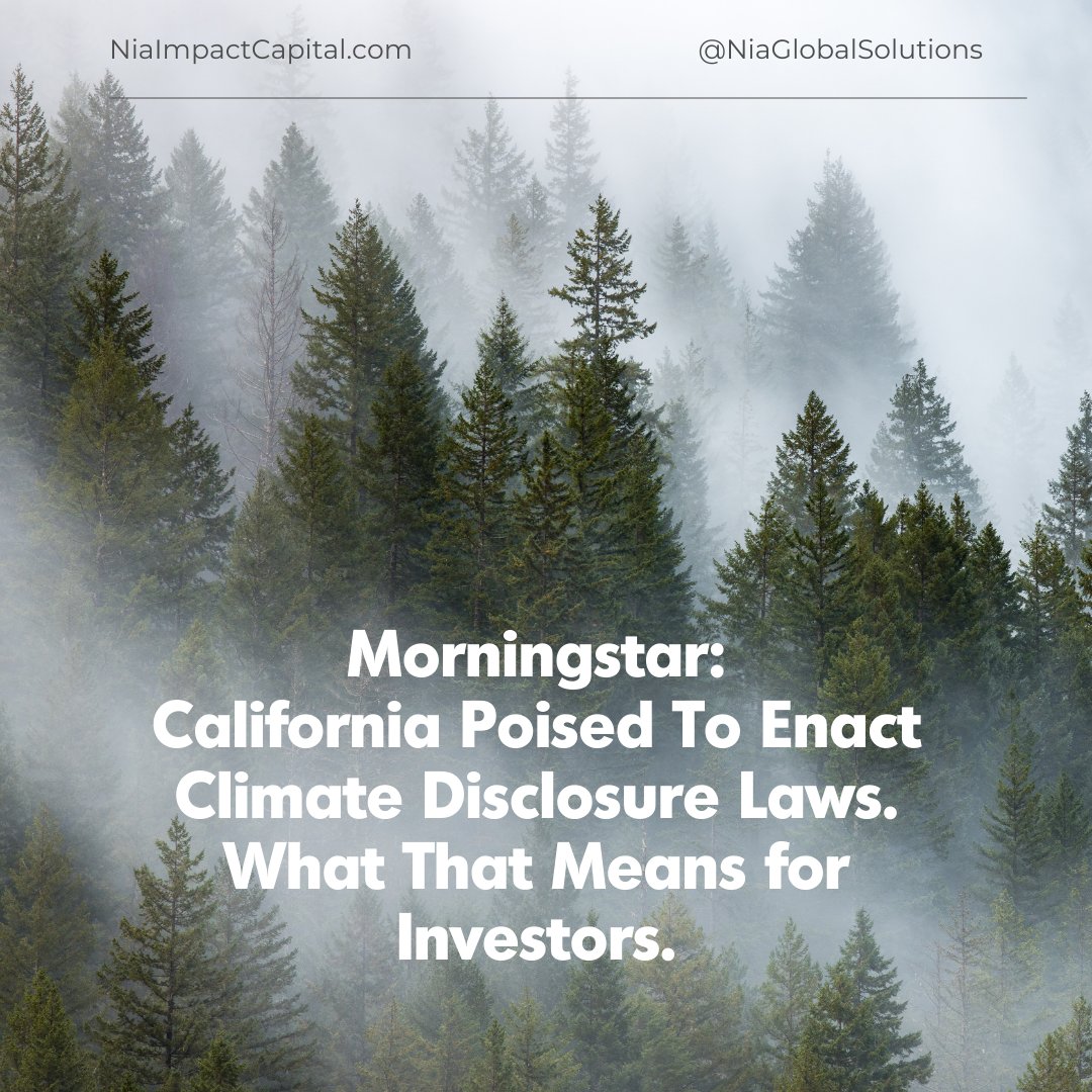 Nia Impact Capital (@niainvest) on Twitter photo āThis climate disclosure brings more transparency to investors & absolutely reduces systemic risk.ā <a href="/kristinhull/">Dr. Kristin Hull, PhD</a>
Full article here:
ow.ly/EIoP50PM9L3 <a href="/leslienortonnyc/">Leslie Norton</a>
#californiasb253 #carbonemissiondisclosure #climaterisk
#climateinvesting #sustainableinvesting #ESG āThis climate disclosure brings more transparency to investors & absolutely reduces systemic risk.ā <a href="/kristinhull/">Dr. Kristin Hull, PhD</a>
Full article here:
ow.ly/EIoP50PM9L3 <a href="/leslienortonnyc/">Leslie Norton</a>
#californiasb253 #carbonemissiondisclosure #climaterisk
#climateinvesting #sustainableinvesting #ESG
