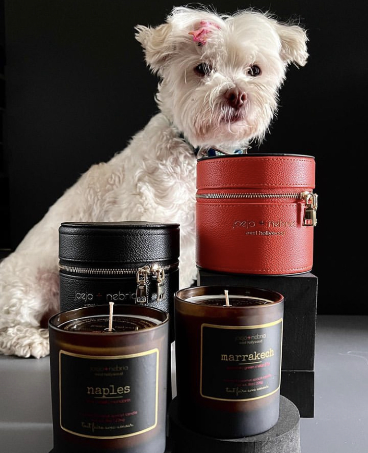 therescuetrain's tweet photo. @therescuetrain is honored to be the recipient of 5% of the proceeds of this most exquisite new candle company Joejo+Nebria. With the holidays around the corner, these are PURRfect gifts for animal lovers. Thank you for believing animal rescue is a cause worth fighting for! https://t.co/c2YU1I4oGe