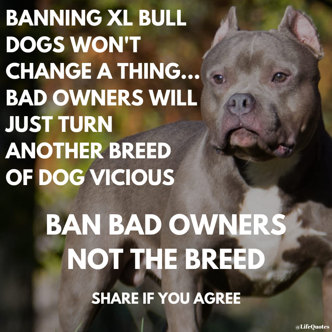Tomisatwitt's tweet photo. Totally agree 💯
Ban the owners!
Not the breed!

#xlbullies #savexlbullies https://t.co/rMXjAYOzmJ
