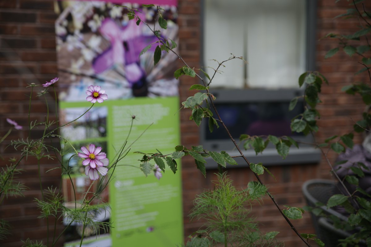 Lovely to visit the Critical Care Garden 1st anniversary today at James Cook Hospital <a href="/OurHospCharity/">Our Hospitals Charity - James Cook & Friarage</a> to see the work of <a href="/LauraLightworks/">Laura Johnston - Healing Spaces</a> supported by <a href="/chazot_paul/">Paul L Chazot</a> <a href="/durham_uni/">Durham University</a> as part of the treatment for hospital patient recovery. laurajohnston.com