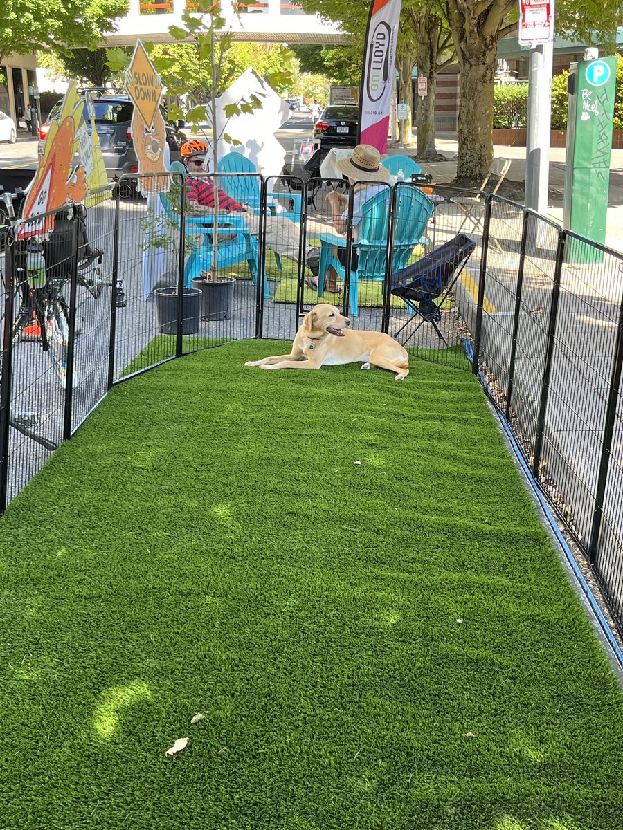 Happy #ParkingDay. Love this pop-up dog park by @thestreettrust @GoLloydPDX