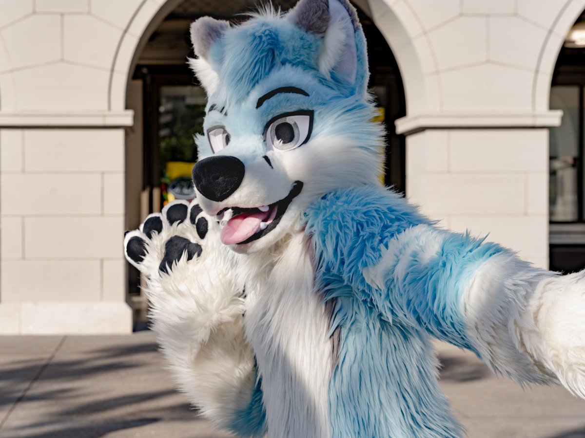 ZephyrousFox's tweet photo. what the camera sees before getting bapped 📷💥🖐️

📸: @Hysumek 
🧵🪡✂️: @wolf_daz 

#FursuitFriday https://t.co/C61tF1Tyff