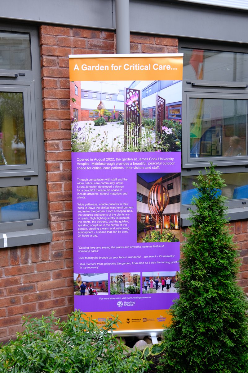 Balbir Singh Dance Co tweet media