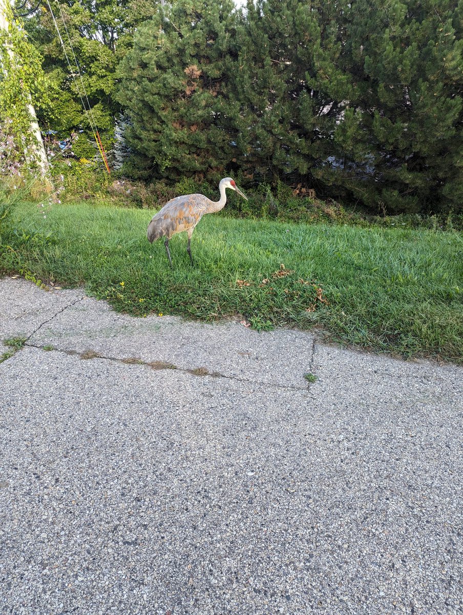 Me and my bro if you even care