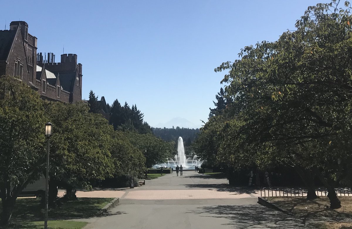 Matt Rockman tweet media