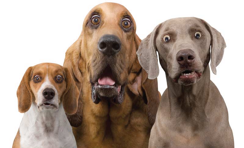 tweetsbyjacky's tweet photo. Sheebah fans pretending to be surprised.. https://t.co/Ed3vRLSilY