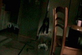 𝔸𝚗𝚝𝚑𝚘𝚗𝚢 𝙲𝚕𝚎𝚟𝚎𝚕𝚊𝚗𝚍 tweet media