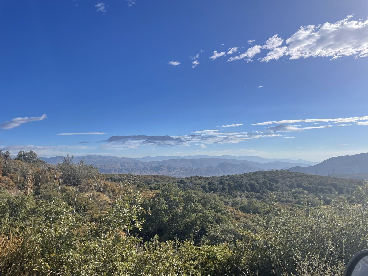 my first field season is complete 🐺 learned so much while living and working in the mountains of Julian ⛰️ time to rest and recharge before the start of a new quarter 😌 #PhDStudent #GrayWolves #AnimalBehavior #WomenInSTEM #CaliforniaWolfCenter