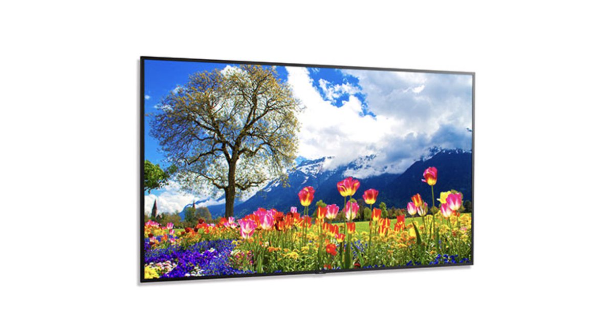 SharpBusinessUS's tweet image. Ensure your content matches your vision with the NEC MultiSync M981 SpectraView Engine color control. The brightness on NEC’s M series is ideal for a majority of high-end presentation applications. 

Learn more: bit.ly/48k9gXh #ProAV #LargeFormatDisplay