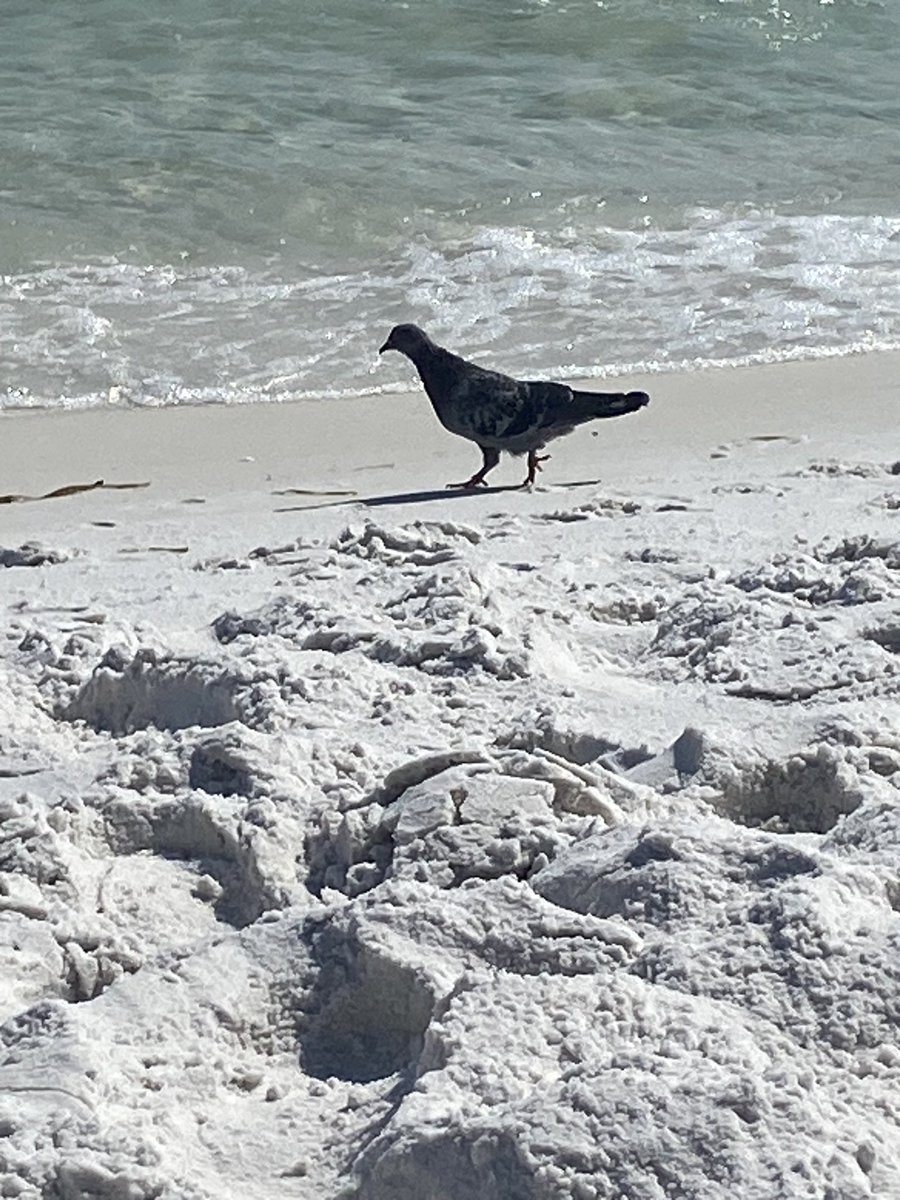 stonecoldmac7's tweet image. Only one more day of this gorgeous place.  😔