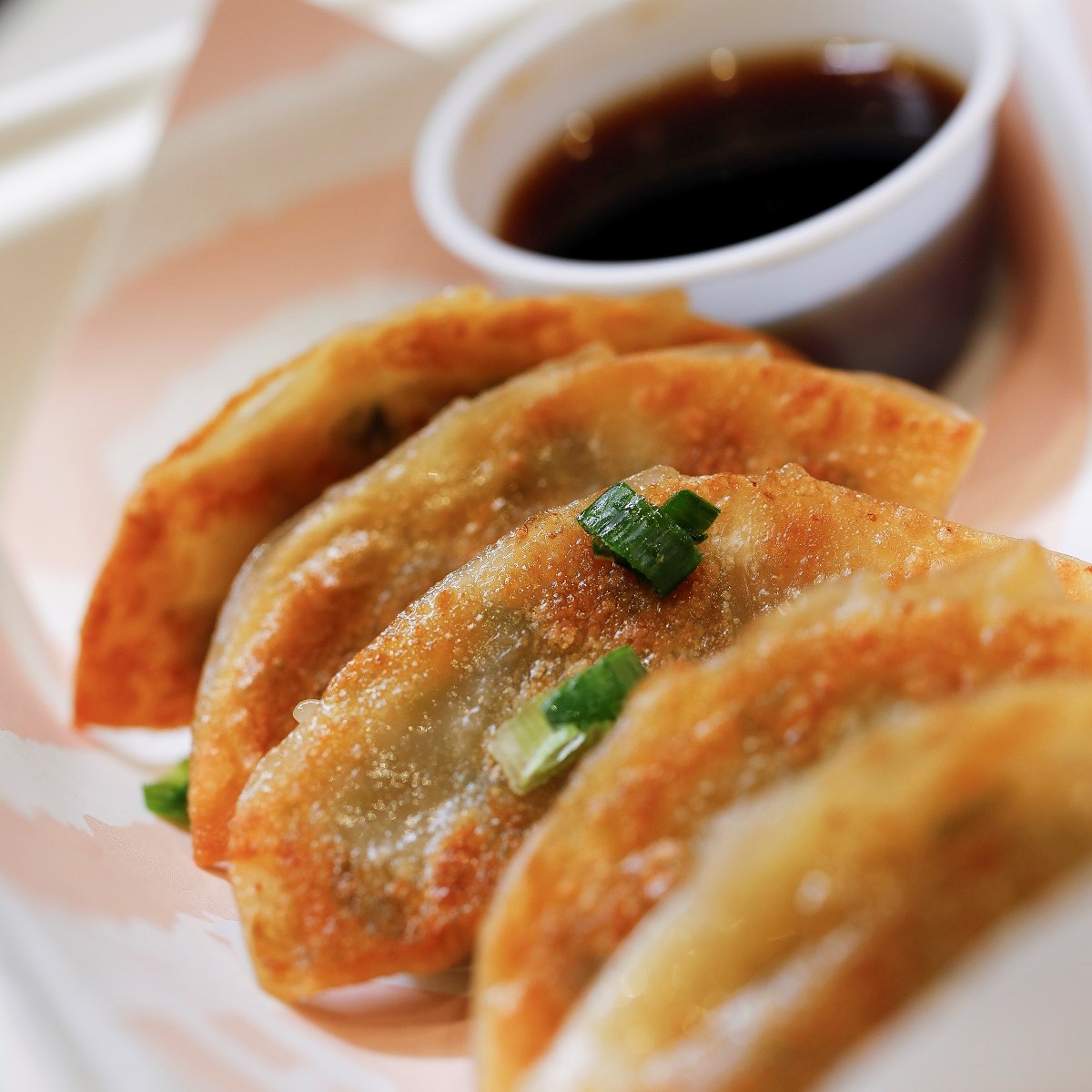 In the battle of cravings vs. pot stickers, the winner is always your taste buds 🏆🥟