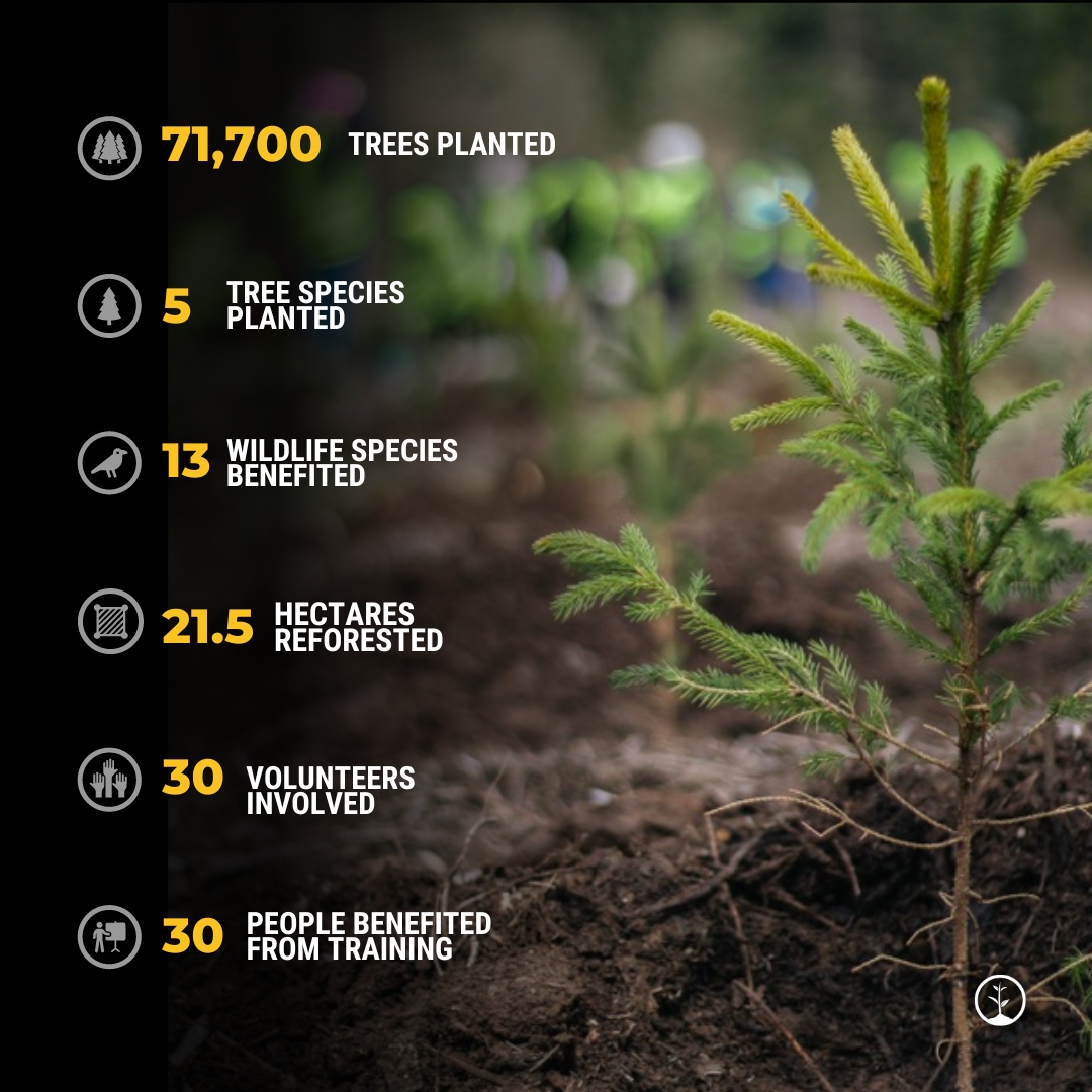 onetreeplanted tweet picture