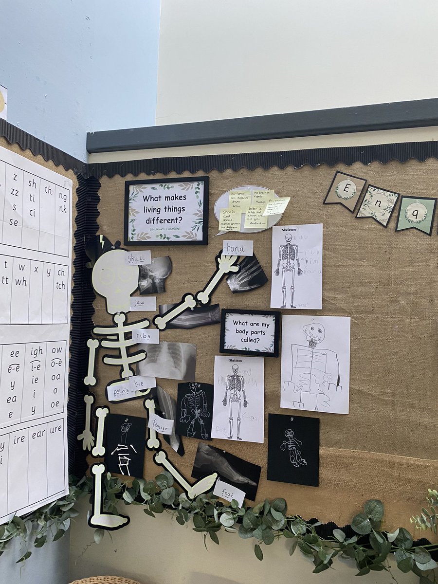 Mrs Harraway (@mrsharraway2) on Twitter photo Meet Jellybones - he’s been helping year 1 to name parts of the body to kickstart our learning enquiry. <a href="/PhamYear1/">MrsPhamYear1</a> <a href="/BatchEyfs/">Castle Batch EYFS</a> @BonnyOwens94 Meet Jellybones - he’s been helping year 1 to name parts of the body to kickstart our learning enquiry. <a href="/PhamYear1/">MrsPhamYear1</a> <a href="/BatchEyfs/">Castle Batch EYFS</a> @BonnyOwens94