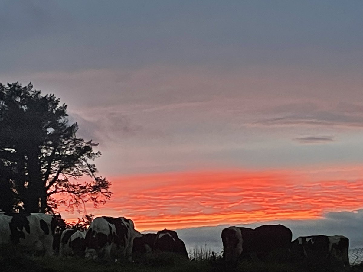 ReidyPa's tweet photo. Beautiful Sunset! #TheKingdom https://t.co/s7ivw9pSpR