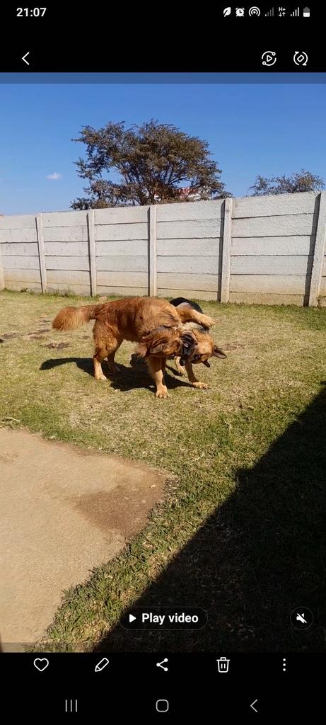 donchauke's tweet photo. @Phil_Sledge https://t.co/wgQnGnO1Nh