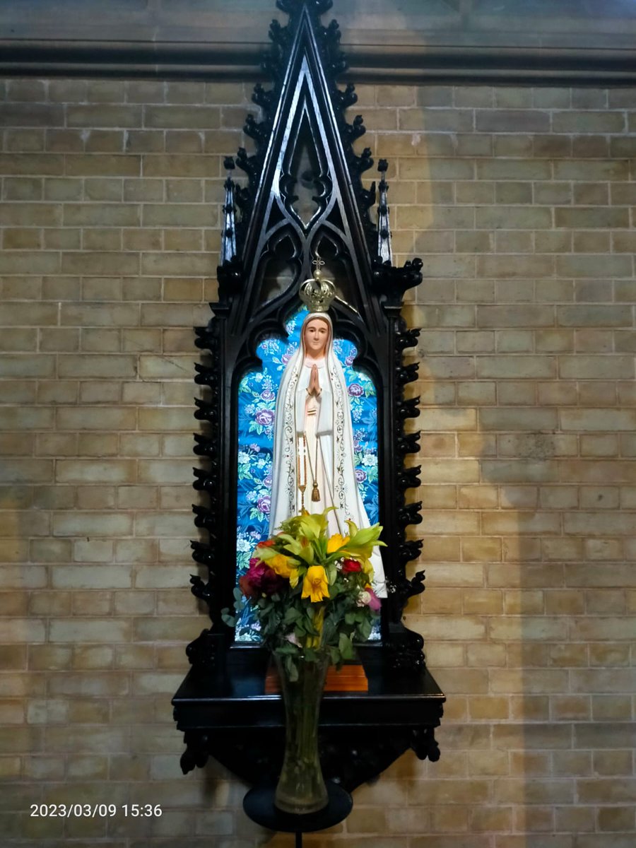 Radio Maria England tweet media