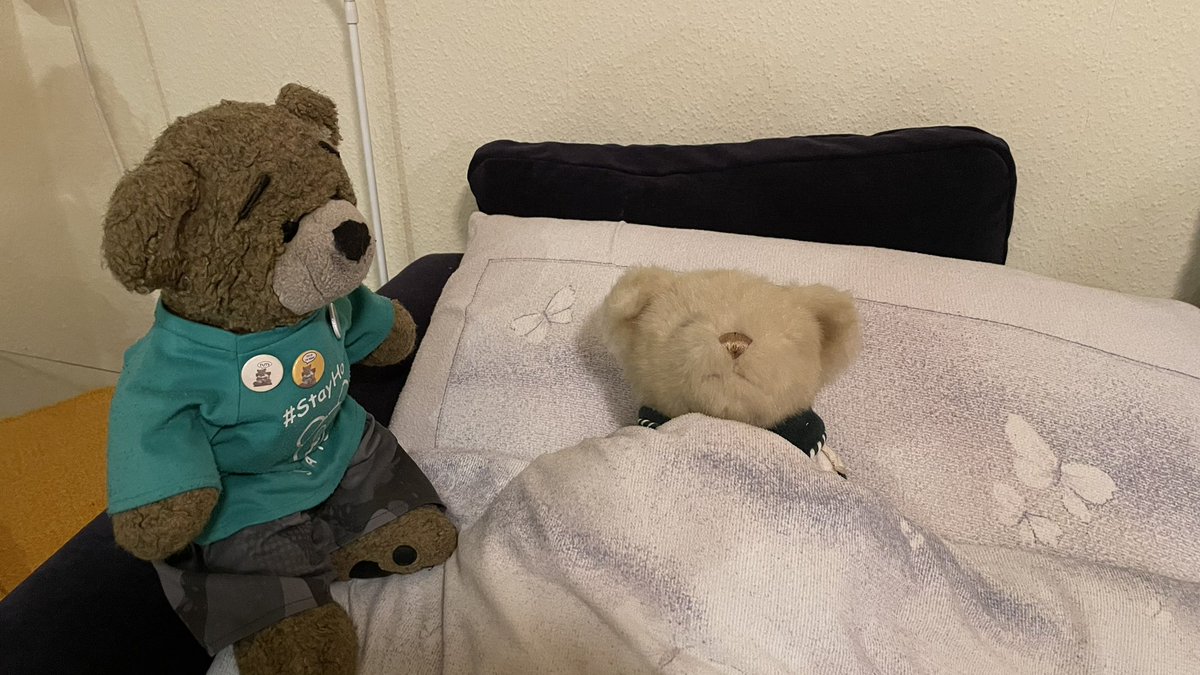 BearemyTed's tweet photo. You can stay in our guestroom. Hope you sleep well. If you need something, give me a shout! Tomorrow I’ll introduce you to all of my hug! #StayWithCuthbert https://t.co/vZshvfpUfw