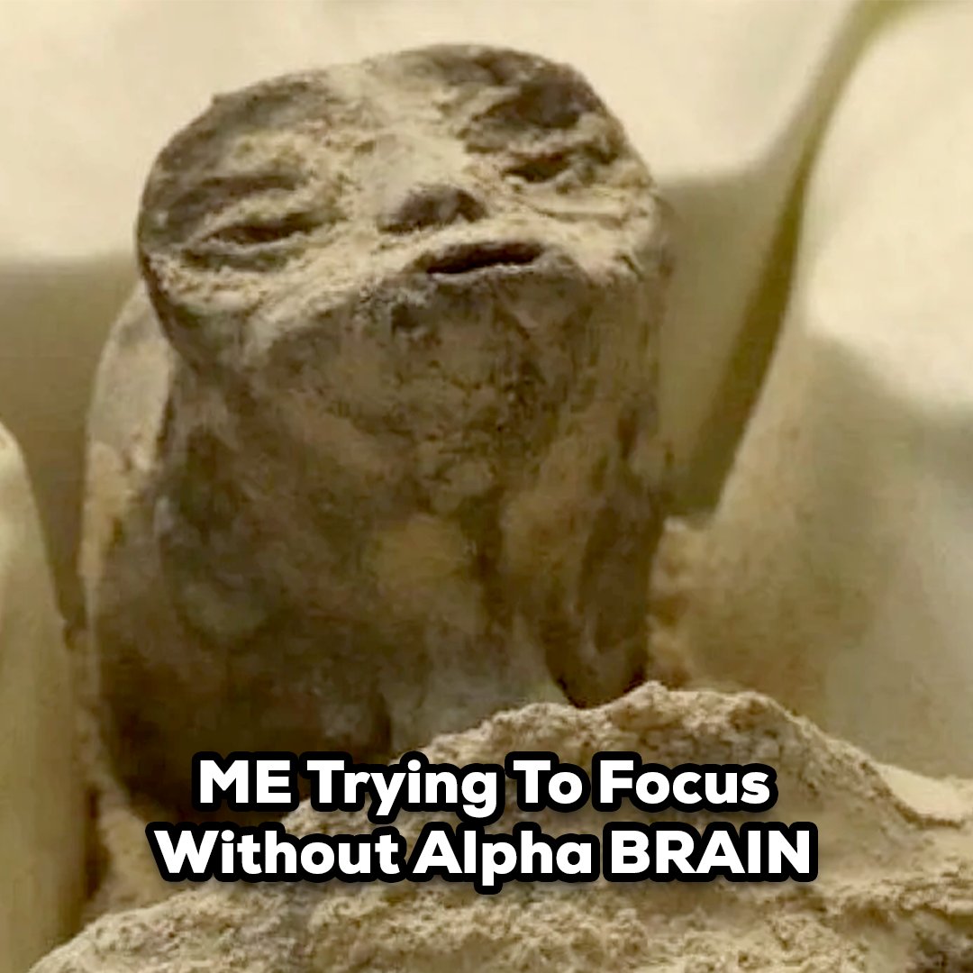 Onnit's tweet photo. These are too relatable 😂
Don’t end up like this dude…
Tap the link below to shop!
https://t.co/25BcvStgK3
-
#getonnit #onnit #aliens #alienbody #alienmemes https://t.co/WaGfQAffBj