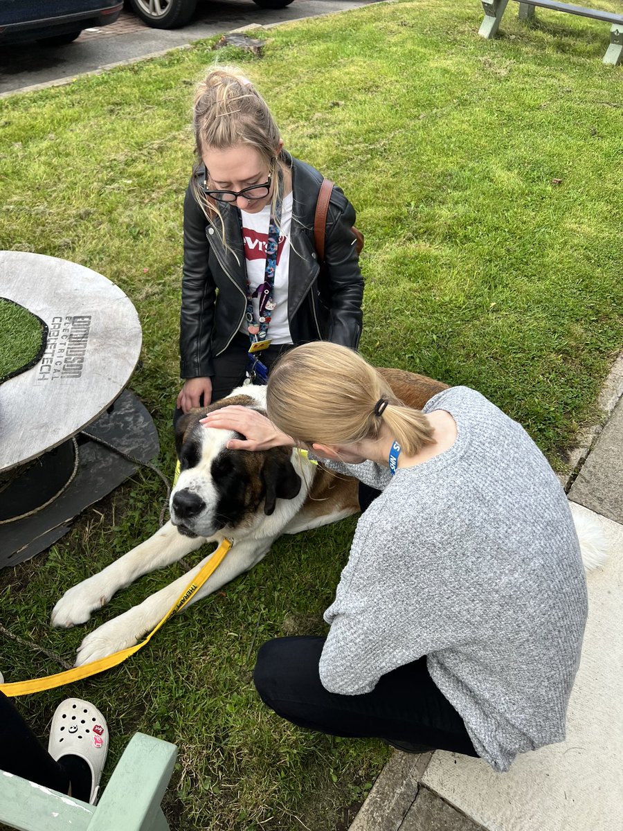 Dan Firth 💙🏳️‍🌈🧫🧪🧬🔬🦠🥼🧫 tweet media