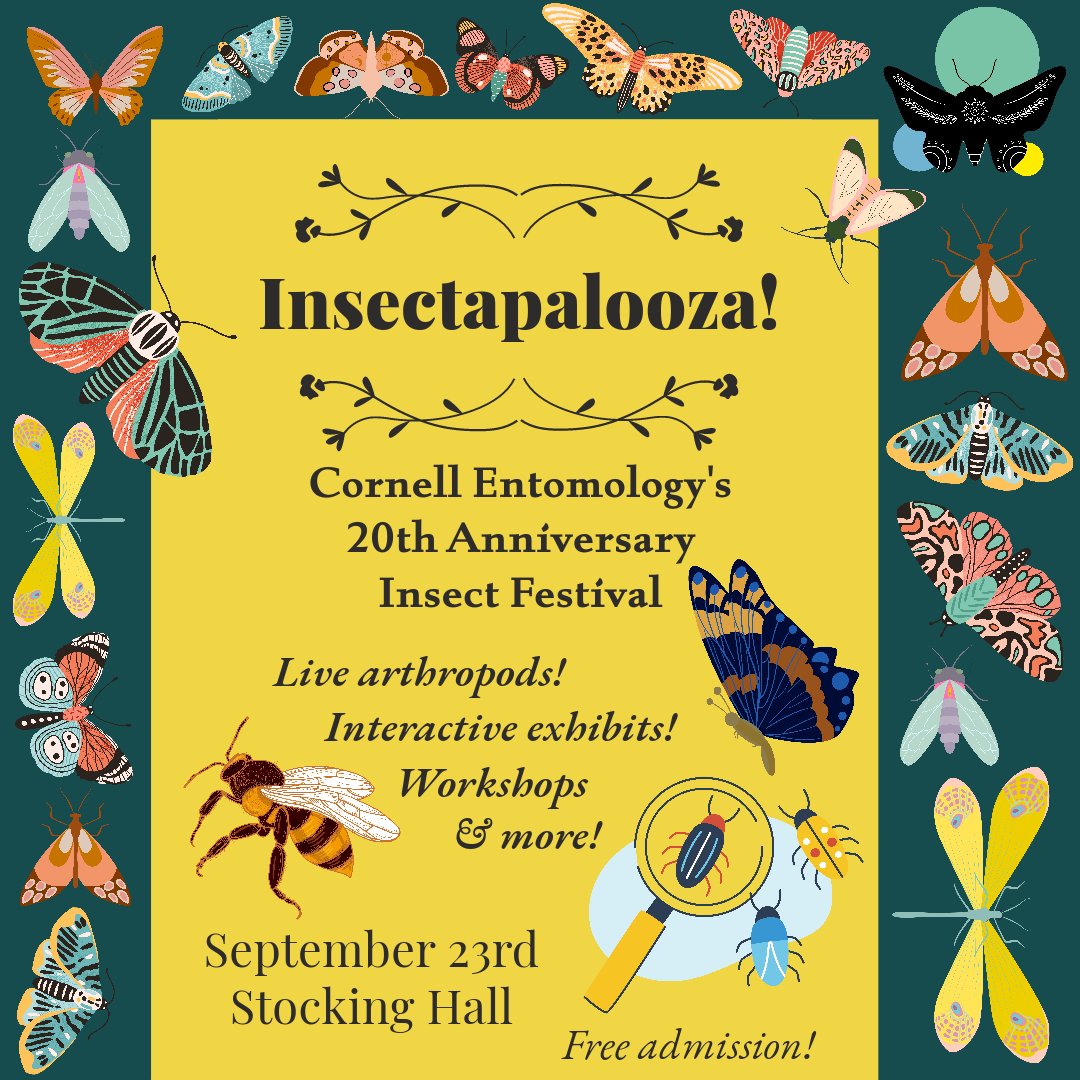CornellEnto's tweet photo. Insectapalooza is NEXT WEEKEND! On Saturday, September 23rd from 9am-3pm, come join us at the Cornell Dairy Bar (411 Tower Rd Stocking Hall, Ithaca, NY 14853) for live arthropods, interactive exhibits, and workshops! The event is free, open to the public, and for all ages! https://t.co/VmyTl9X52J