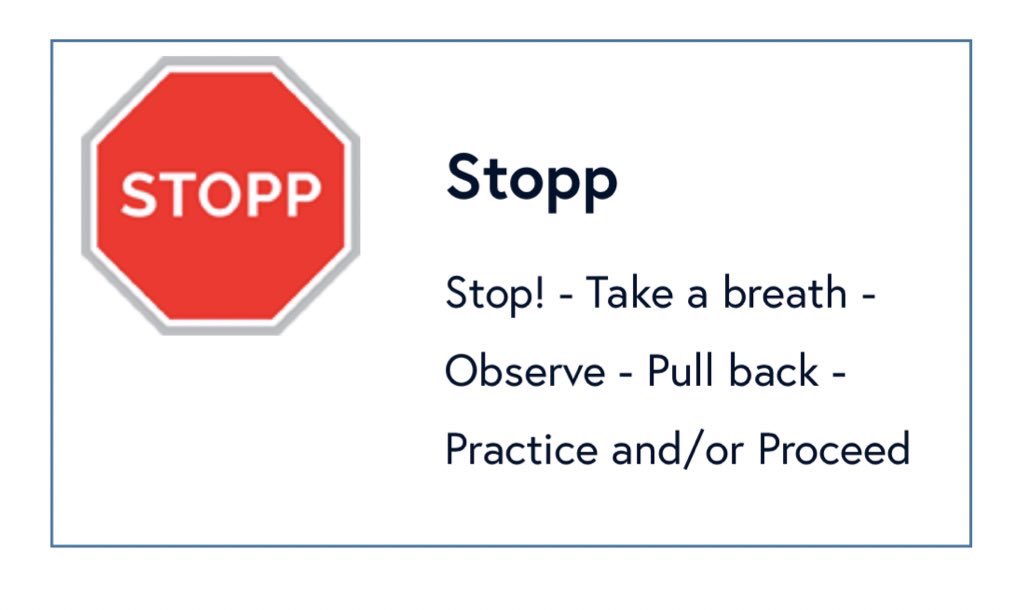 MrsMcDavid tweet media