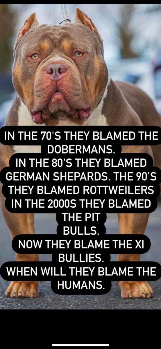 adam seddon (@adamseddon3) on Twitter photo 