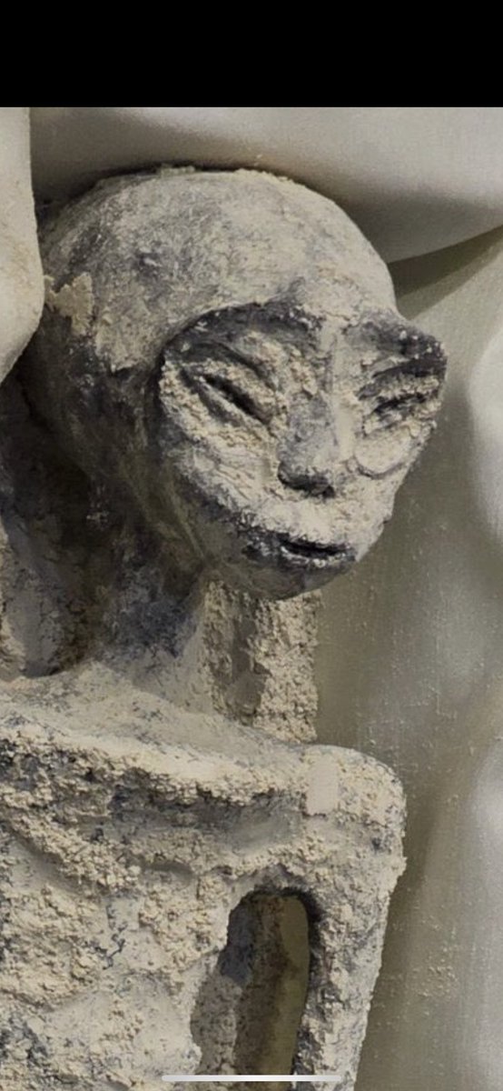 Who actually thought this shit was real?? I’m 100% CGI and i still looker realer than this mf cmon ppl