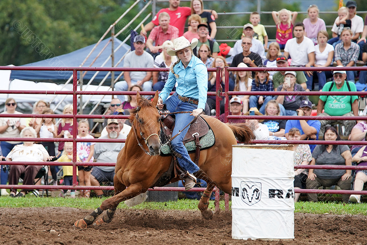 JustSports_AHL's tweet photo. 09-10-2023 MONROETON RODEO
RANDOM IMAGES FROM THE MONROETON RODEO PART #2
#monroetonrodeo
#BullRiding
#SteerWrestling
#BareBackBronc
#SaddleBackBronc
#CalfRoping
#TeamCalfRoping
#CowgirlBarrelRacing
#monroehosecompany
#BuckarooRodeo
#Cowboys
#cowgirls https://t.co/9QMrNAc0IE