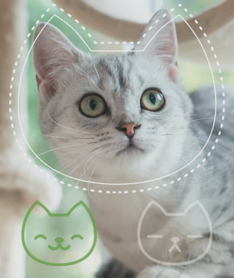 Want to read your pet's facial expressions?

We just covered Slyvester ai, the first app that uses AI to tell how your pet is feeling

Pretty interesting stuff!