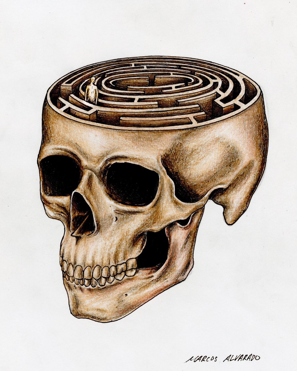 Marcos Alvarado tweet media