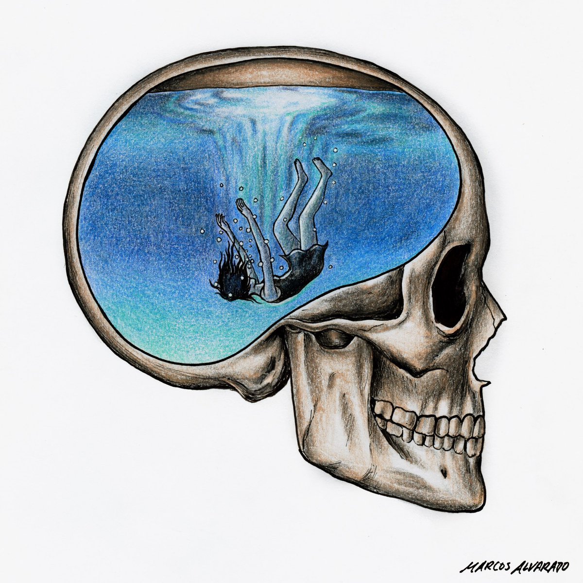 Marcos Alvarado tweet media