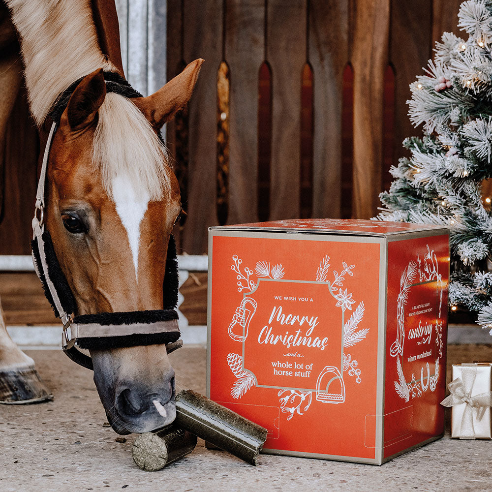 ReitsportKandel's tweet photo. Nur noch 106 Tage bis Weihnachten 🎅🏻
https://t.co/ug9yKbRhvd https://t.co/0aQCK6VN13