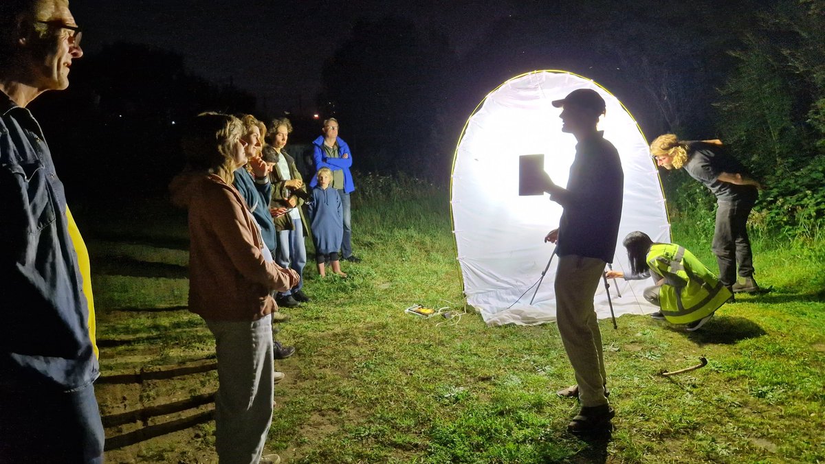 GroeneConnectie's tweet image. Wouter Moerland: 'Van de 2400 soorten Nederlandse nachtvlinders zijn er wel 1000 waargenomen in Rotterdam. Dat geeft aan hoe belangrijk de stad voor de biodiversiteit is'. Kom nog tot ca 23u naar de Spoordijk Spangen (bij Beukelsbrug) voor de nachtvlindernacht! @nielsdezwarte