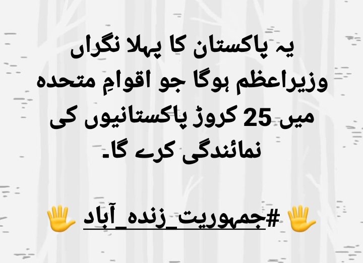 AsiaLies🇵🇰 tweet media