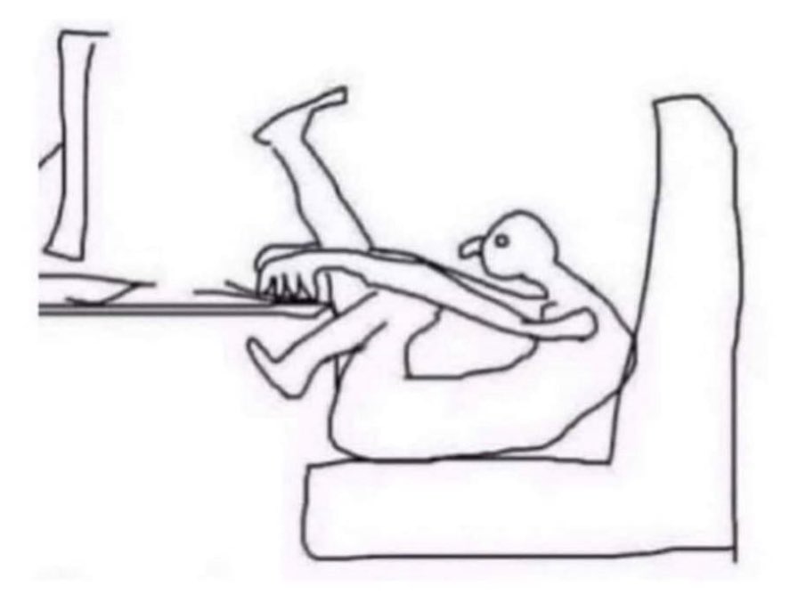 embersunn's tweet image. Software Engineer: *Complains about back pains*
Also Software Engineer: