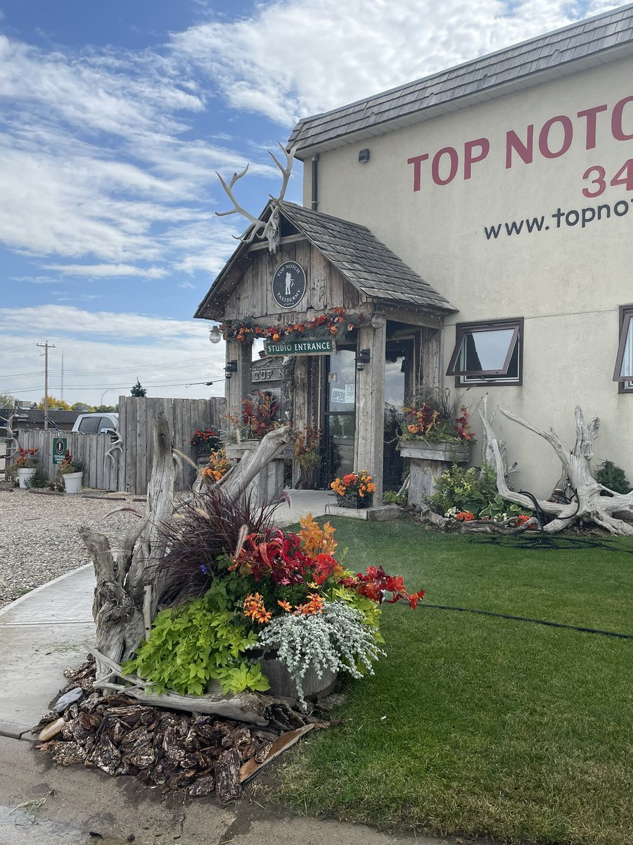 topnotchwiebe's tweet photo. Beginning to look like “ Autumn Fall Time “ at our location @CoaldaleAB https://t.co/SZZmar9hwO