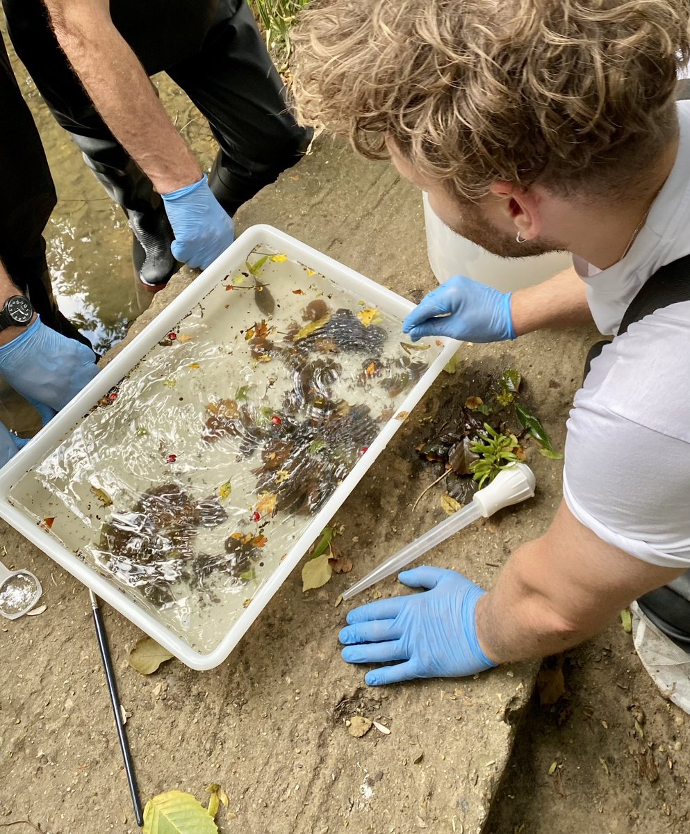 catpat2017's tweet photo. Fascinating #UrbanRiverfly training session today led by @Thames21 and hosted by @LeeValleyPark Hopefully the newly trained volunteers will help monitor water quality in the Lower Lee Valley @LondonLeaCP @Riverflies https://t.co/hfmPggA7o4