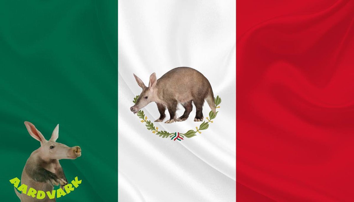 AardvarkCoin's tweet photo. 🇲🇽Viva ARDVRKMEXICO!!!🇲🇽
Today is Mexicos grito de independencia, we stand by our Mexican hermanos who always have supported us.

VAMOS A PUMPEAR DURO HIJOS DE PUTA!!!🌮🫔🌯 https://t.co/02Kz1dBYLE