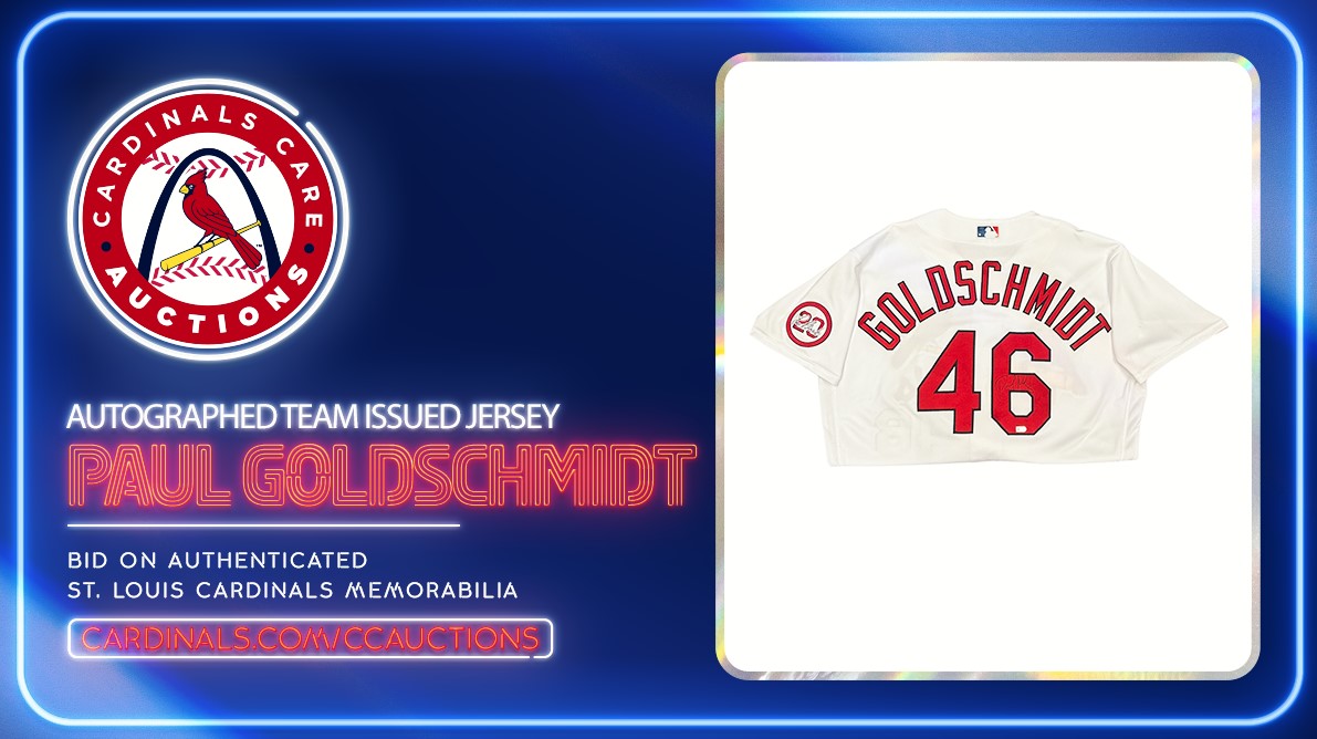 Game-Used Baseball: Paul Goldschmidt St. Louis Cardinals RBI Single (MLB  AUTHENTICATED)